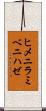 ヒメニラミベニハゼ Scroll