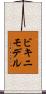ビキニモデル Scroll