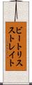 ビートリスストレイト Scroll