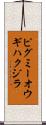 ピグミーオウギハクジラ Scroll