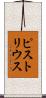 ピストリウス Scroll