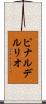 ピナルデルリオ Scroll