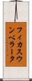 フィカス・ウンベラータ Scroll