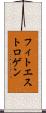 フィトエストロゲン Scroll