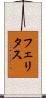 Felicitas Scroll