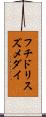 フチドリスズメダイ Scroll