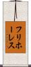 フリホーレス Scroll