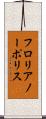 フロリアノーポリス Scroll