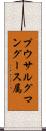 プウサルグマングース属 Scroll
