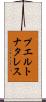 プエルトナタレス Scroll