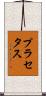 プラセタス Scroll