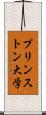 プリンストン大学 Scroll