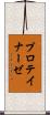 プロテイナーゼ Scroll