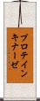 プロテイン・キナーゼ Scroll