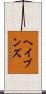 Havens Scroll