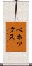 ベネックス Scroll