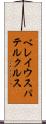 ベレイウスパテルクルス Scroll