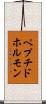 ペプチドホルモン Scroll