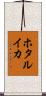 ホタルイカ Scroll