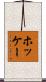 ホッケー Scroll