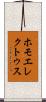 ホモエレクトゥス Scroll