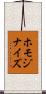 ホモジナイズ Scroll
