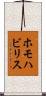 ホモハビリス Scroll