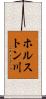 ホルストン川 Scroll