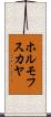 ホルモフスカヤ Scroll