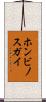 ホンビノスガイ Scroll