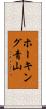 ホーキング青山 Scroll