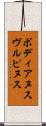 ボディアヌスヴルピヌス Scroll