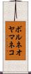 ボルネオヤマネコ Scroll