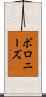 ボロニーズ Scroll