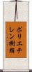 ポリエチレン樹脂 Scroll