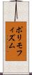 ポリモフィズム Scroll