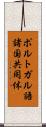 ポルトガル語諸国共同体 Scroll