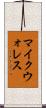 マイクウォレス Scroll