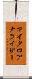 マイクロアナライザー Scroll