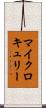 マイクロキュリー Scroll