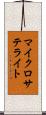 マイクロサテライト Scroll