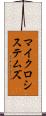 マイクロシステムズ Scroll