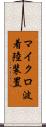 マイクロ波着陸装置 Scroll