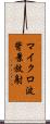 マイクロ波背景放射 Scroll