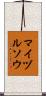 マイヅルソウ Scroll