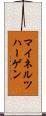 マイネルツハーゲン Scroll