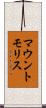 マウントモリス Scroll