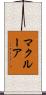 McClure Scroll