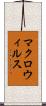 マクロ・ウィルス Scroll