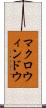 マクロ・ウィンドウ Scroll